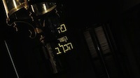 פה קשור הכלב